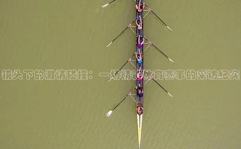 九游会登录j9入口官网