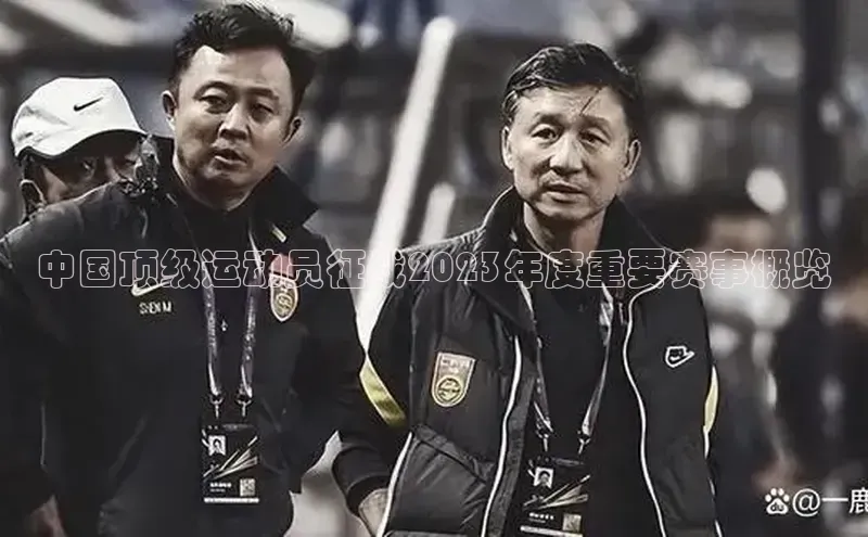 中国顶级运动员征战2023年度重要赛事概览